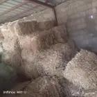 علف تبن للبيع