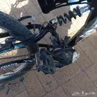 اسكيتل