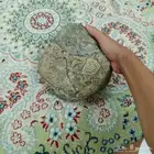 الجحر خريطه في اسم الله