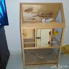مطير خشبي