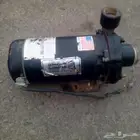 دينمو سمنان 2 1 2حصان