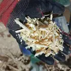 نشارة خشب
