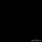 اعلان تاجير اسطبلات فاخره