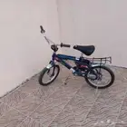الحساء