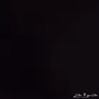 فرس مصريه مسجله بلاك سوده