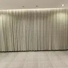 ستاير وايفي