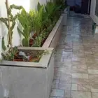 تنسيق حدائق