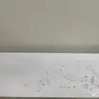 ركن كافي