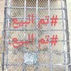 سلة جيب لاندكروزر 2013