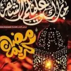 تاسيس من الصفر باللغة العربية