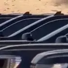 إيجار جموس للايجار مع السائقين استقبال الضيوف وكبار الشخصيات