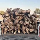 ح ط ب سمر كفو شليخ للبيع