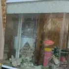 حوض سمك