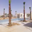 نخل واشنطن زينه