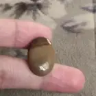 حجر الدم اليماني