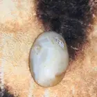 عقيق فرعوني