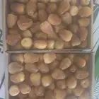 رطب سكري