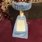 كرسي قطط