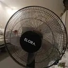 stan fan