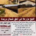 مزرعة للبيع فى شمال القصيم بريدة أبلق