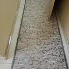 سجاد
