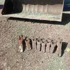 للبيع اسنان شيول