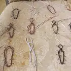 شبك لطرح الصقور