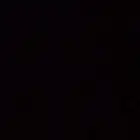 حصان انجليزي