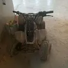 دباب