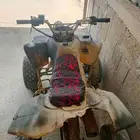 دباب