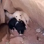 جراوي البدل في اي شيئ