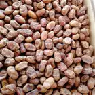 تمر اخلاص حبه وسط