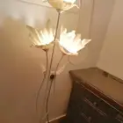 إضاءة مضيئة