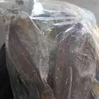 احلا صافي