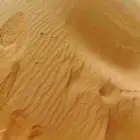 اتصال نصل