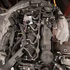 كدنزا ديزل جميع الموديلات الجديد والقديم