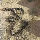 جنزير معدات ثقيله