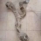 قطع باجيرو قطع باجيرو قطع باجيرو