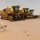 حصاد بذور الرودس والبصل والبرسيم والدخن قمح شعير