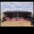 بيت شعر قطبا نوع ممتاز