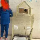 قفص دورين اخو الجديد