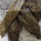 عود سيوفي محسن المصدر اندونيسيا