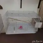 3 اقفاص مع طير