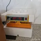 فقاسة بيض 98 اتومتك