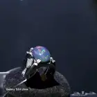 خواتم أشكال وأنواع بس نوادر