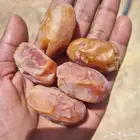 تمور فاخره
