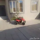 دباب للبيع