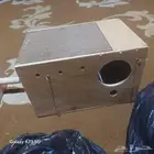 مستلزمات ببغاء وعصافير