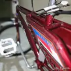 سيكل رامبو إندونيسي