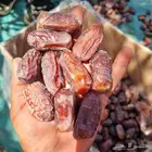 خضري فاخر